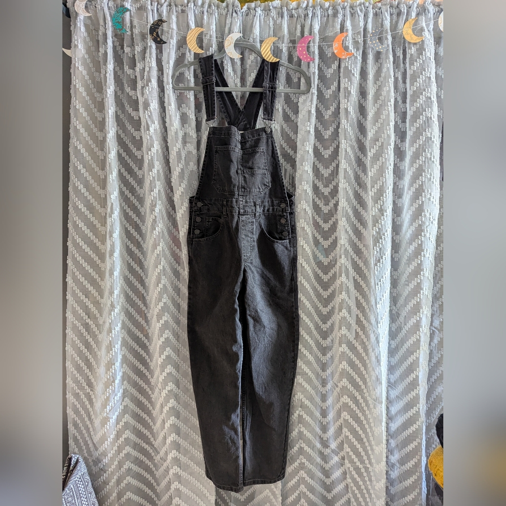 We The Free Ziggy Denim Overalls - Free People